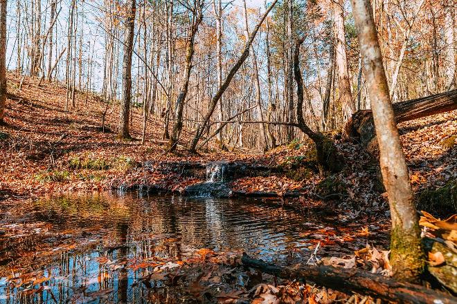 Dry Branch State Park featured park photo