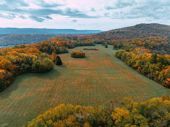 Cardwell Mountain State Archaeological Park featured park photo