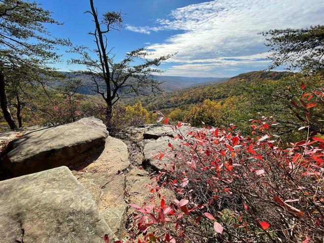Scott's Gulf Wilderness State Park featured park photo