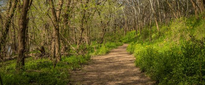 Henry Horton State Park featured park photo
