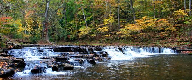 David Crockett State Park featured park photo