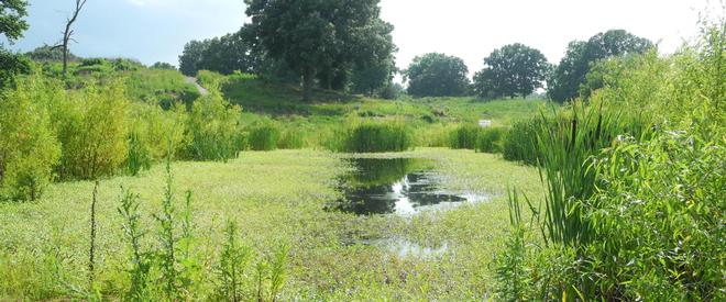 T.O. Fuller State Park featured park photo